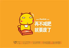 猫爪视频是什么时候开始的

